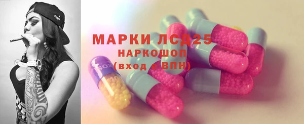 спайс Бородино
