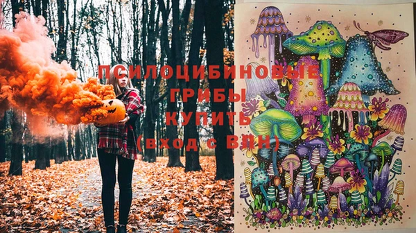 спайс Бородино